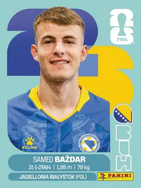 119 - BIH 19