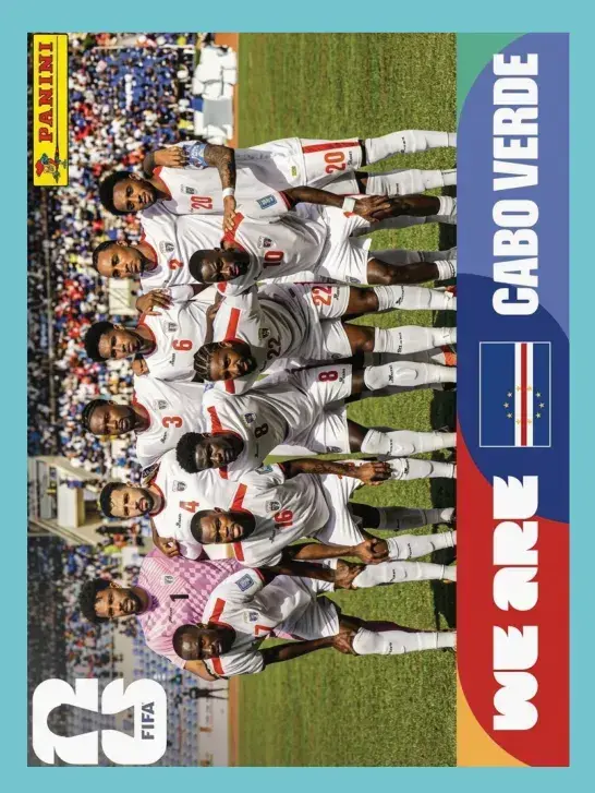 593 - CPV 13